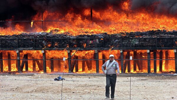 An Iranian official walks past a massive pile of drugs, burning behind him - Sputnik International