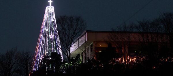 South Korean authorities have granted permission for a 9-meter-tall Christmas tree to be installed on its border with North Korea - Sputnik International