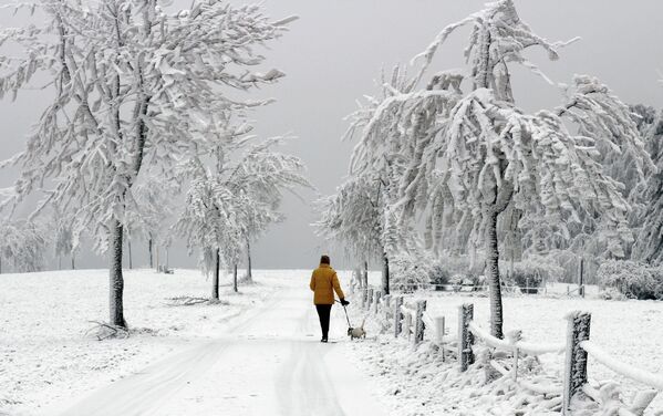 Prisoners of Ice: Freezing Fog, Rain Causes Chaos in Central Europe - Sputnik International