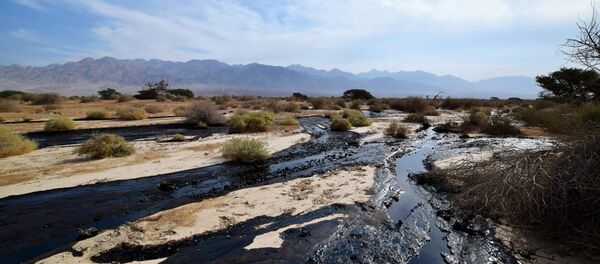 The Jerusalem Post reports that the rupture happened during maintenance work on the Eilat-Ashkelon crude oil pipeline overnight Wednesday. - Sputnik International