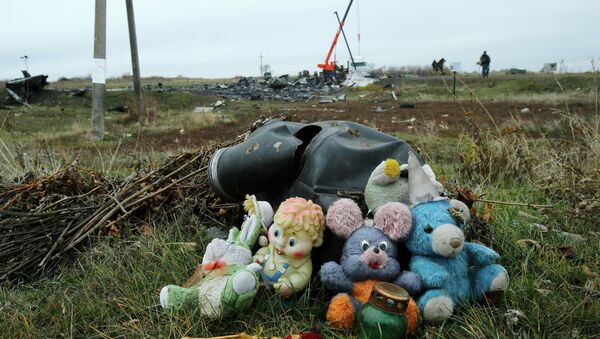 Soft toys are seen near the crash site of the Malaysia Airlines Boeing 777 plane (flight MH17) near the settlement of Grabovo in the Donetsk region November 16, 2014 - Sputnik International