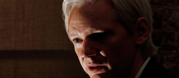 Assange launched the WikiLeaks website back in 2006, taking the role of its editor-in-chief. Assange launched the WikiLeaks website back in 2006, taking the role of its editor-in-chief. - Sputnik International