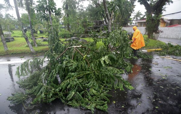 A policeman carries a tree branch that fell due to strong winds brought by Typhoon Hagupit in Legazpi, Albay province, eastern Philippines Sunday, Dec. 7, 2014 - Sputnik International