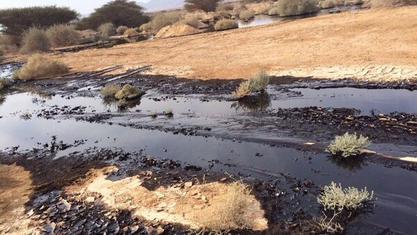 Oil is seen after a large oil spillage caused by an oil pipeline that breached during maintenance work in the Arava desert, southern Israel, on Dec. 4, 2014 - Sputnik International