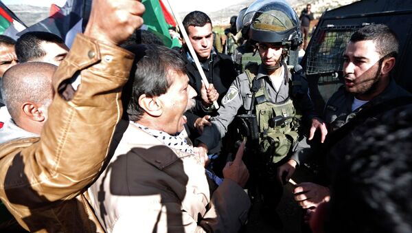 Palestinian minister Ziad Abu Ein (C) argues with Israeli border policemen during a protest near the West Bank city of Ramallah December 10, 2014. - Sputnik International