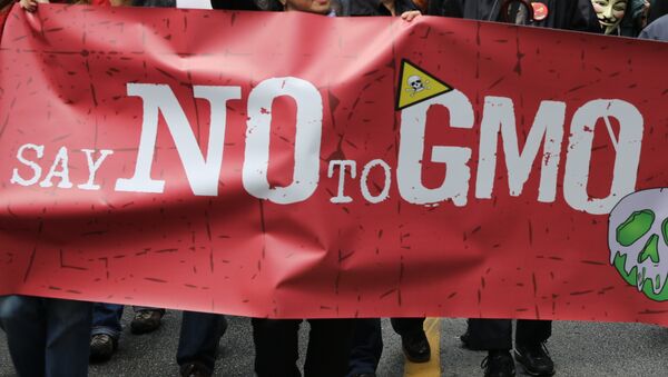 The Consumers Union, which has found traces of genetically engineered corn in a product that was labeled as non-GMO food, believes there is no place for misleading labels, Michael Crupain, a representative from the union told RIA Novosti Wednesday. - Sputnik International