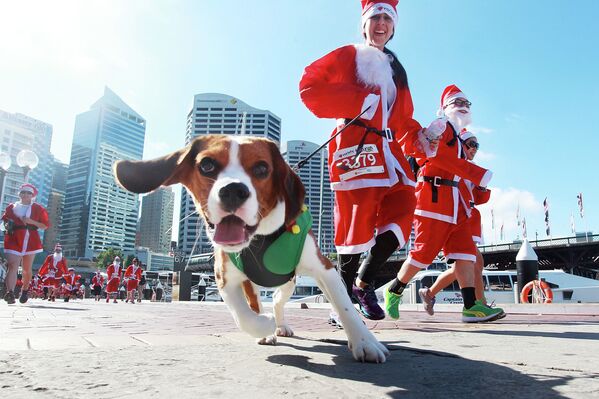 This Week in Pictures - Sputnik International