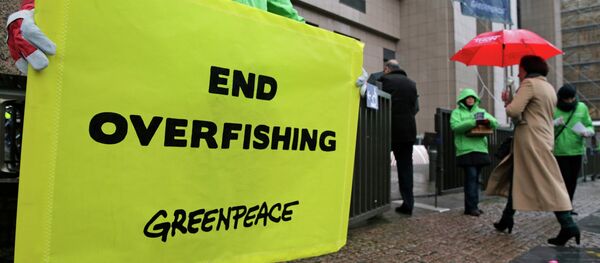 EU fisheries ministers must put a stop to overfishing by following recommendations by scientists to lower fishing quotas - Sputnik International