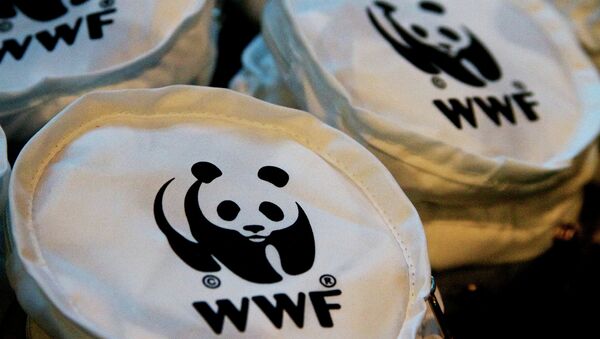 World Wildlife Fund said that Russia made a wise decision to participate in the Green Climate Fund to help less developed countries strive toward low-carbon growth - Sputnik International