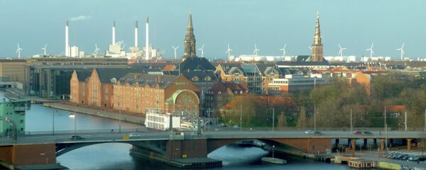 Approximately 50 percent of Danish citizens consider the tone of the national debate on foreigners too radical - Sputnik International