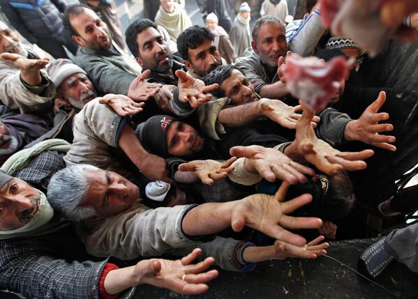 This Week in Pictures - Sputnik International