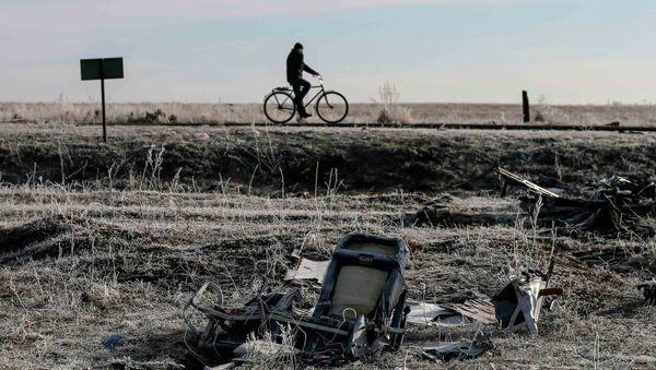 A man rides his bicycle past the wreckage of MH17, a Malaysia Airlines Boeing 777 plane - Sputnik International