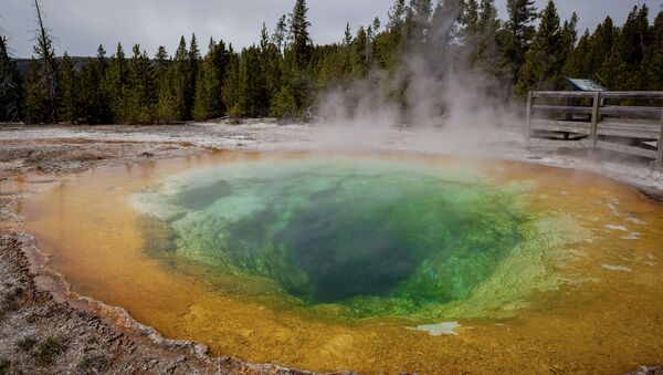 US and German scientists have reconstructed what the natural colors of the Yellowstone National Park Hot Springs were before they were polluted with coins tossed by wish-makers and other waste generated by the park's millions of annual visitors. - Sputnik International