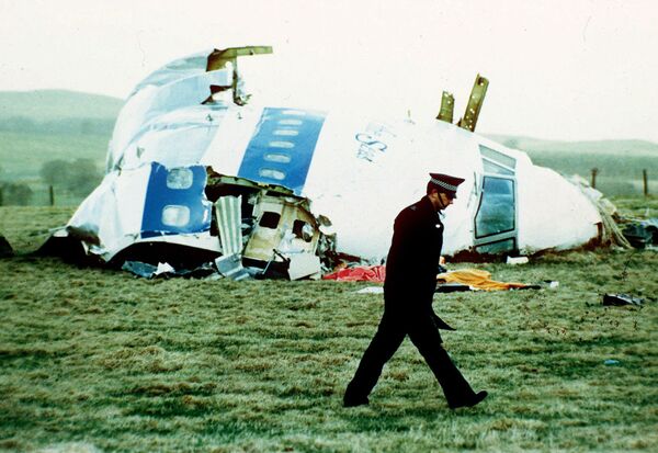 A police officer walks by the nose of Pan Am flight 103 in a field near the town of Lockerbie - Sputnik International