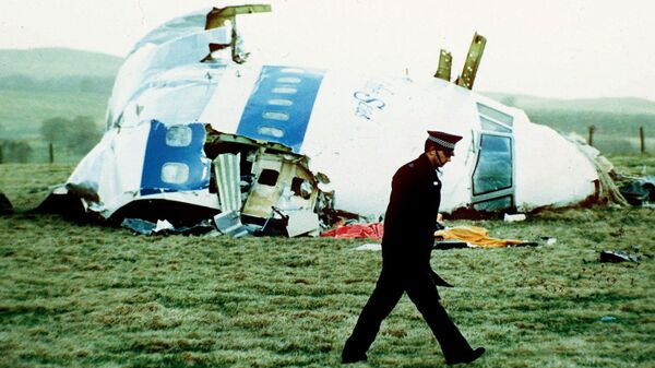 A police officer walks by the nose of Pan Am flight 103 in a field near the town of Lockerbie - Sputnik International