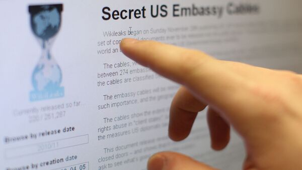 WikiLeaks released classified tips for agents on infiltrating EU, Schengen - Sputnik International