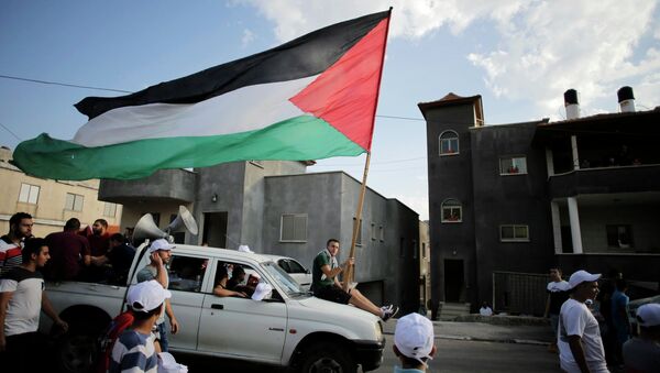 An Israeli Arab carries a Palestinian flag during a march in the northern town of Sakhnin in this October 1, 2014 file photo - Sputnik International