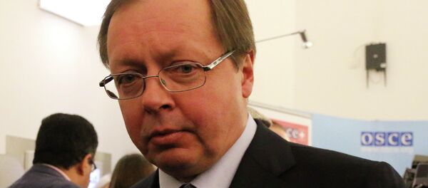 Andrey Kelin Andrey Kelin - Sputnik International