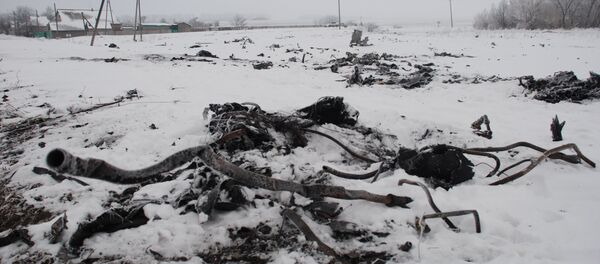 Crash site of the Malaysian Boeing 777 in the village of Grabovo near Shakhtarsk, Donetsk Region Crash site of the Malaysian Boeing 777 in the village of Grabovo near Shakhtarsk, Donetsk Region - Sputnik International