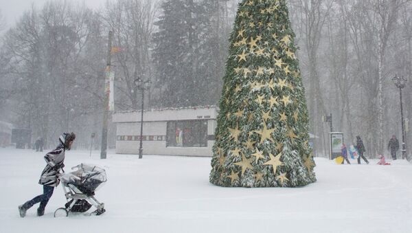 Snowfall in Moscow - Sputnik International