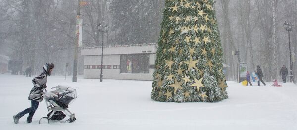 Snowfall in Moscow Snowfall in Moscow - Sputnik International
