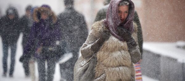 Snowfall in Moscow - Sputnik International