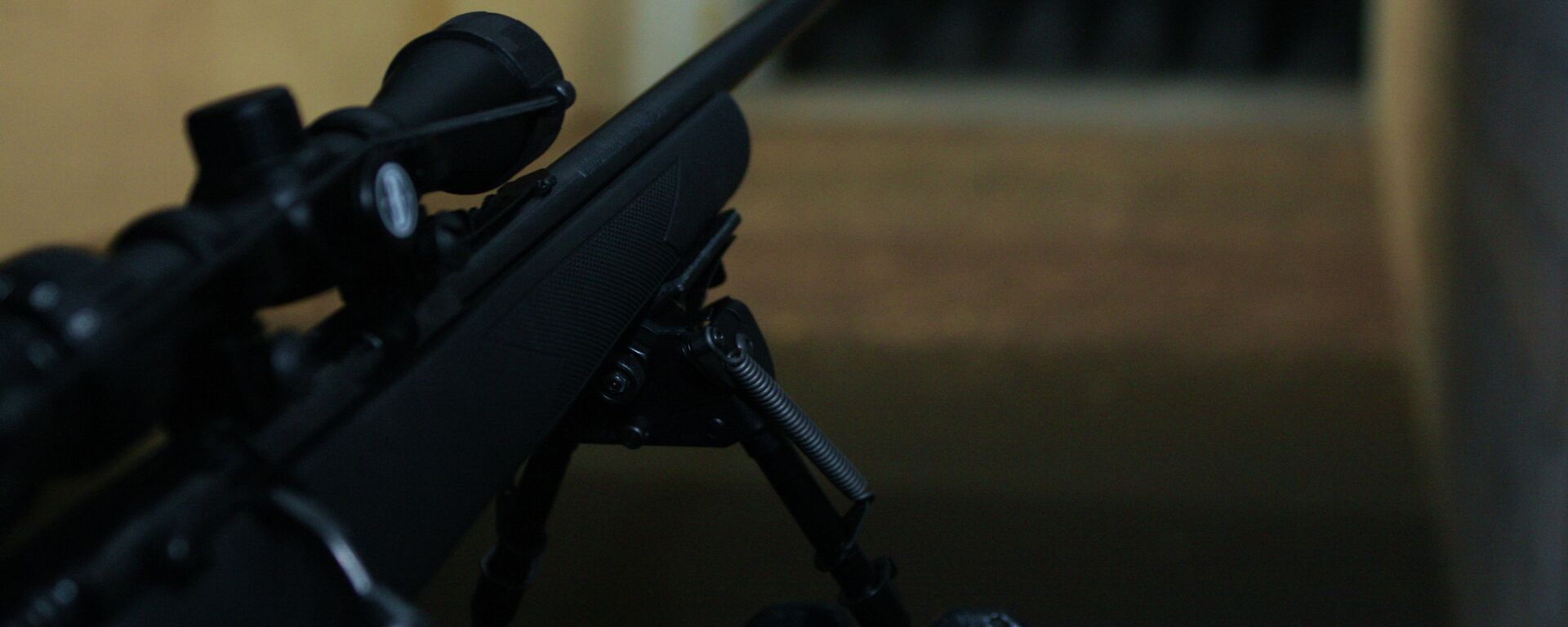Sniper Rifle - Sputnik International, 1920, 13.05.2023