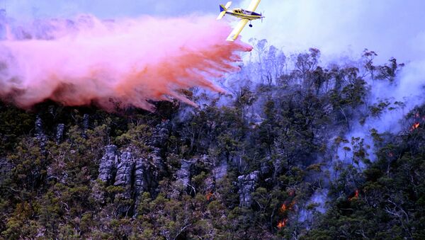 Australia wildfire - Sputnik International