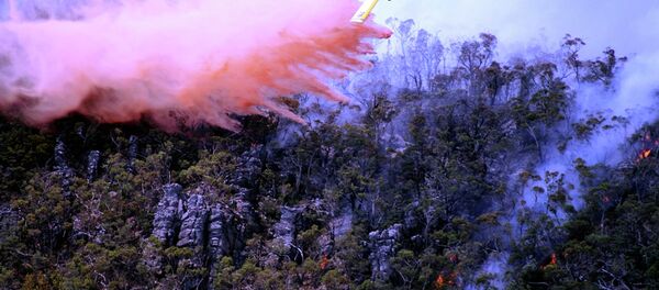 Wildfires in Australia Wildfires in Australia - Sputnik International