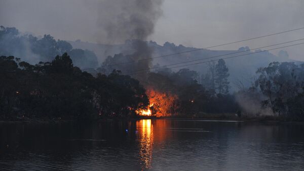 A bushfire burns through scrub - Sputnik International