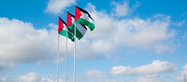 Palestinian Observer to the UN Riyad Mansour slammed Israel for its decision to withhold Palestinian tax revenue. Palestinian Observer to the UN Riyad Mansour slammed Israel for its decision to withhold Palestinian tax revenue. - Sputnik International