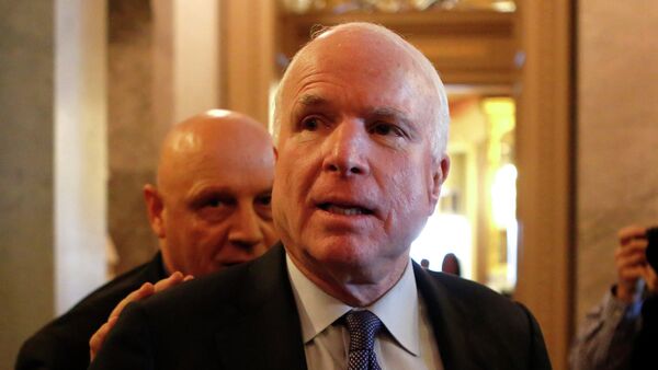 John McCain called Code Pink anti-war protesters low life scum - Sputnik International