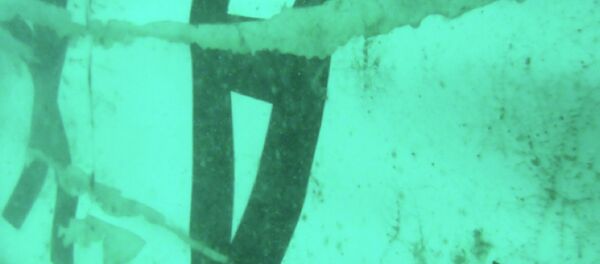 The part of the wreckage that BASARNAS identified as of the ill-fated AirAsia Flight 8501 is seen in the waters of the Java Sea, Indonesia - Sputnik International