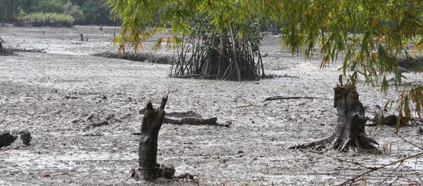 Shell agreed to make an out-of-court settlement of 35 million pounds to 15,600 fishermen and 20 million pounds to the Bodo community for the environmental damage caused by the oil spills. Shell agreed to make an out-of-court settlement of 35 million pounds to 15,600 fishermen and 20 million pounds to the Bodo community for the environmental damage caused by the oil spills. - Sputnik International
