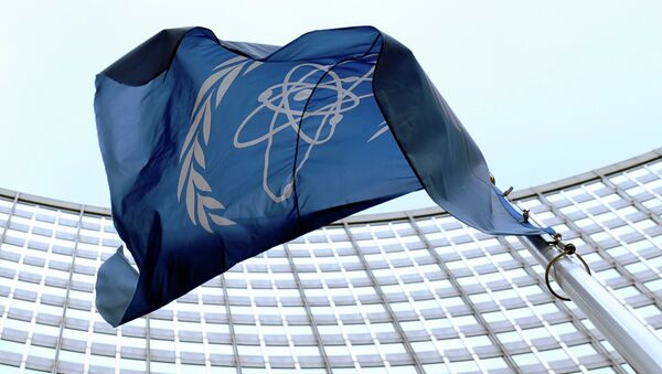 The flag of the International Atomic Energy Agency (IAEA) flies in front of the Vienna headquarters at the Vienna International Center. (File) - Sputnik International