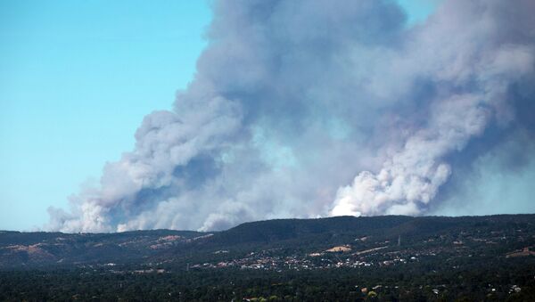 Fire in the Adelaide Hills in South Australia - Sputnik International