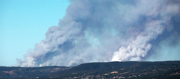 Fire in the Adelaide Hills in South Australia - Sputnik International