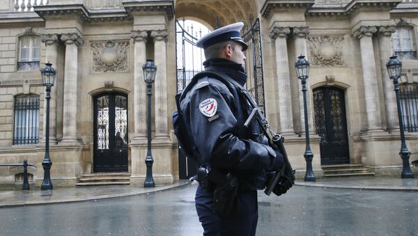 A police officer is in faction in front of the Elysee Palace in Paris - Sputnik International