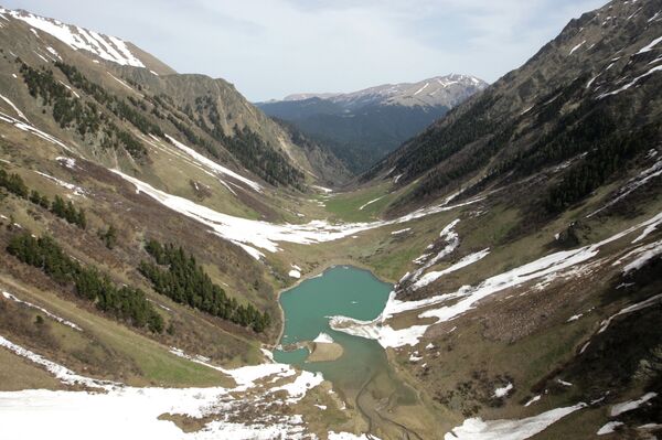 Caucasian State Nature Reserve, Sochi - Sputnik International