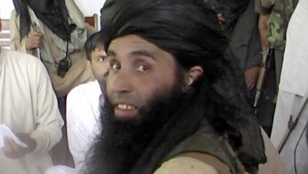Washington has listed Pakistan Taliban warlord Maulana Fazlullah as a Specially Designated Global Terrorist - Sputnik International