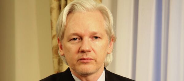 Julian Assange still remains holed up in Ecuador’s embassy in London. WikiLeaks founder spoke with RTS during which he said that the US government would never let him get off the hook for publishing top secret US military documents leaked in 2010. - Sputnik International