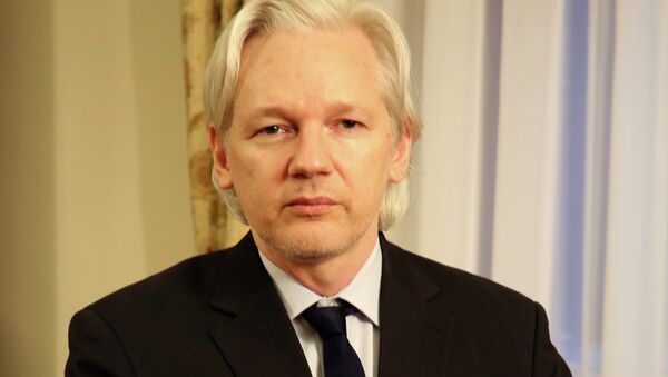 Julian Assange still remains holed up in Ecuador’s embassy in London. WikiLeaks founder spoke with RTS during which he said that the US government would never let him get off the hook for publishing top secret US military documents leaked in 2010. - Sputnik International