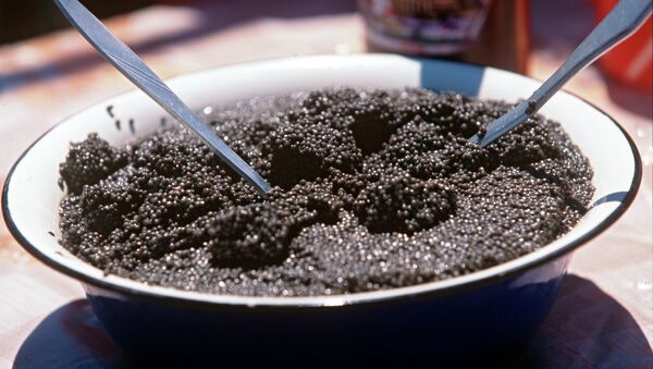 Sturgeon caviar - Sputnik International