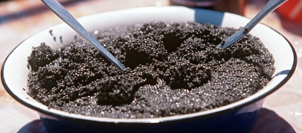 Sturgeon caviar Sturgeon caviar - Sputnik International