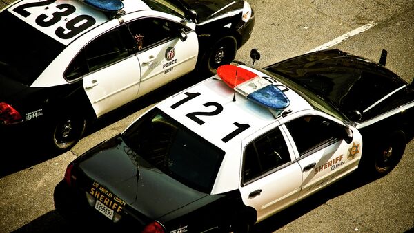 Police cars in the United States - Sputnik International
