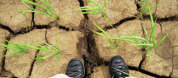 Record drought in Sao Paulo may leave up to 44 mln people without water next month Record drought in Sao Paulo may leave up to 44 mln people without water next month - Sputnik International