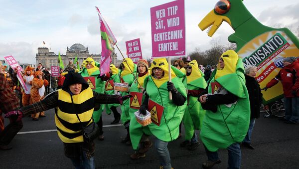German farmers and consumer rights activists perform as the take part in a march to protest against the Transatlantic Trade and Investment Partnership (TTIP), mass husbandry and genetic engineering in front of the Reichtsgas building Berlin, January 17, 2015 - Sputnik International