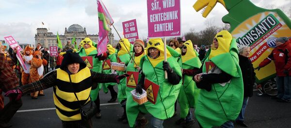 German farmers and consumer rights activists perform as the take part in a march to protest against the Transatlantic Trade and Investment Partnership (TTIP), mass husbandry and genetic engineering in front of the Reichtsgas building Berlin, January 17, 2015 - Sputnik International