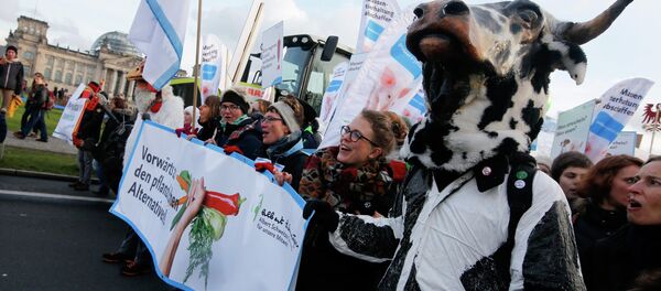 Demonstrators hold banners as they take part in a German farmers and consumer rights activists march to protest against the Transatlantic Trade and Investment Partnership (TTIP), mass husbandry and genetic engineering in Berlin, January 17, 2015 Demonstrators hold banners as they take part in a German farmers and consumer rights activists march to protest against the Transatlantic Trade and Investment Partnership (TTIP), mass husbandry and genetic engineering in Berlin, January 17, 2015 - Sputnik International