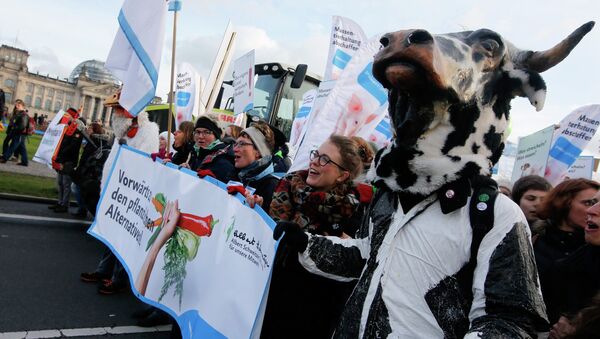 Demonstrators hold banners as they take part in a German farmers and consumer rights activists march to protest against the Transatlantic Trade and Investment Partnership (TTIP), mass husbandry and genetic engineering in Berlin, January 17, 2015 - Sputnik International